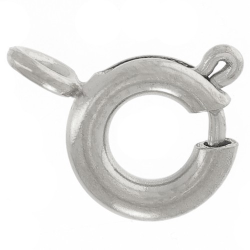 6mm 304L stainless steel spring clasps with closed ring x10