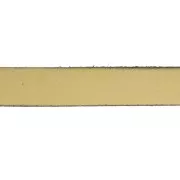 Leather lace 10mm Gold tone x30cm