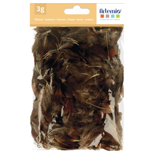 Pheasant feathers 3 to 5cm for jewelry and DIY decoration - Natural x3gr