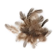 Guinea Fowl Feathers 3 to 6cm for DIY Jewelry and Decoration - Natural x3gr