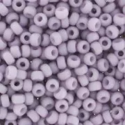 Miyuki 11/0 Seed beads 2025-1 - Matte Opaque Light Mauve x8g