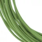 Leather cord 1mm Pistachio x 3m