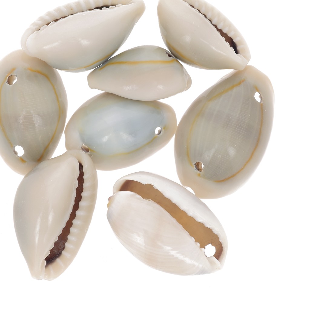 Set of natural Puka shells x 10