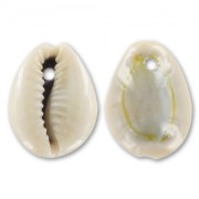 natural Puka shells x 10