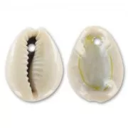 natural Puka shells x 10