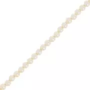 3mm Aurora 5810 Pearls - Crystal Cream Pearl x61cm