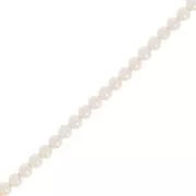 3mm Aurora 5810 Pearls - Crystal Creamrose Pearl x61cm