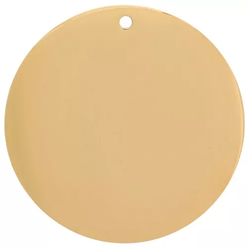 20mm 316L stainless steel Round pendant - Gold x1