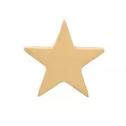 5mm 316L stainless steel stick-on star elements - Gold x4