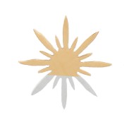 5mm Stainless steel 316L North star elements to stick on - Gold x4