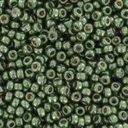 Miyuki Seed beads Duracoat 15/0 4215 - Galvanized Sea Green x8g