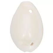 19 to 22mm Assortment of Cauri shell spacers - Natural x10