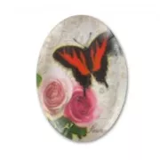 Oval Cabochon 25x18mm Butterfly x1