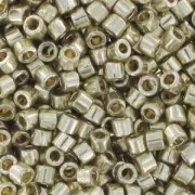 Miyuki Delica Duracoat 10/0 DBM1831 - Galvanized Silver x8g