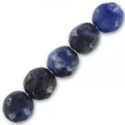 Beads Sodalite  4mm x20