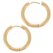 19mm 304L stainless steel round leverback earrings - 2.5 mm wire - Gold x2