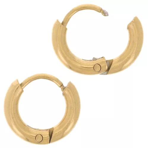 10mm 304L stainless steel round leverback earrings - 2mm wire - Gold x2