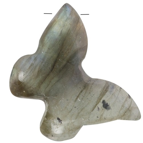 13x18mm butterfly gemstone pendant - Labradorite x1