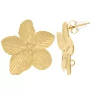 24mm 304L stainless steel Cherry blossom earstuds - open hoop - Gold x2
