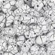 9x5.5mm 2-hole Czech Glass Paisley Duo beads - Ionic White - Jet x10g