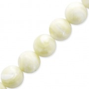 Natural White Shell Beads 7mm x10|raw }}