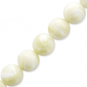 Natural White Shell Beads 6mm x15