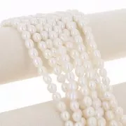 Rice grain freshwater pearls - 9x8 mm - Grade A White x6