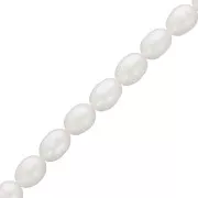 Rice grain freshwater pearls - 8x7 mm - Grade A White x10