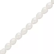 Rice grain freshwater pearls - 6x5 mm - Grade AA- White x10