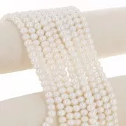 8x6mm Flattened round freshwater pearls - Grade AAA White x4