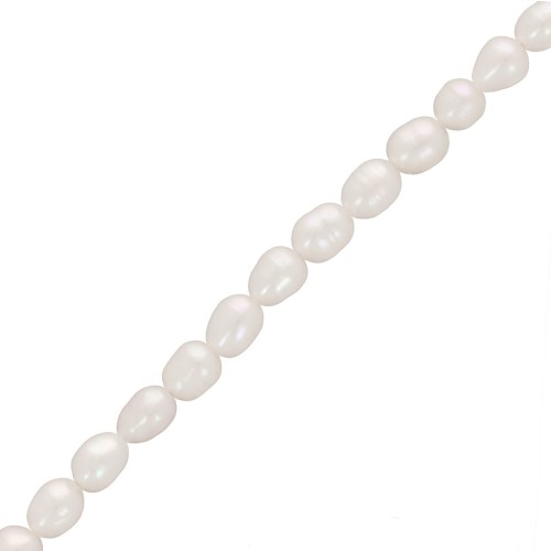 Freshwater beads rice grain - 5x4 mm - Grade AA- White x36cm