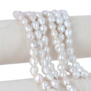 Freshwater beads nucleus round irregular 10 mm - Grade AA+ White x39cm