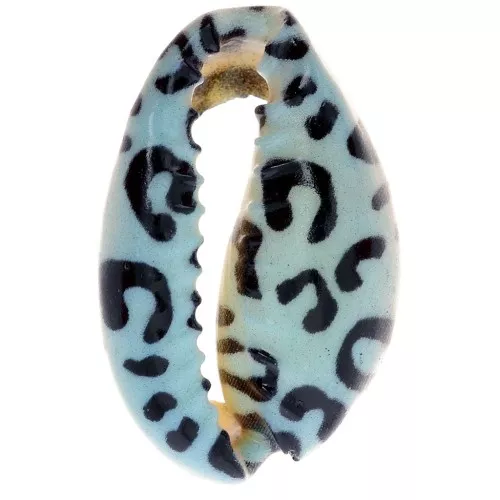 18-23mm Cauri shell leopard print - Light blue - Black x1