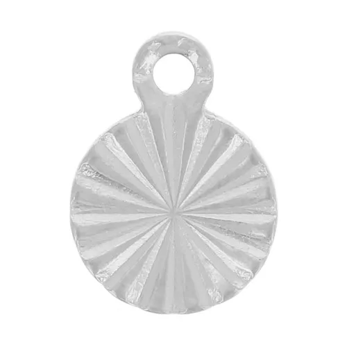 6mm 304L stainless steel Striated round charms x10
