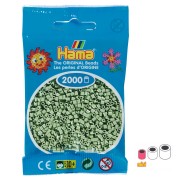 2.5mm Hama MINI beads - Eucalyptus (n°101) x2000|raw }}