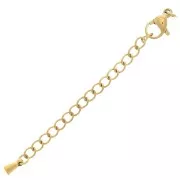 10mm 304L stainless steel lobster clasp extension chain and drop - Gold x1