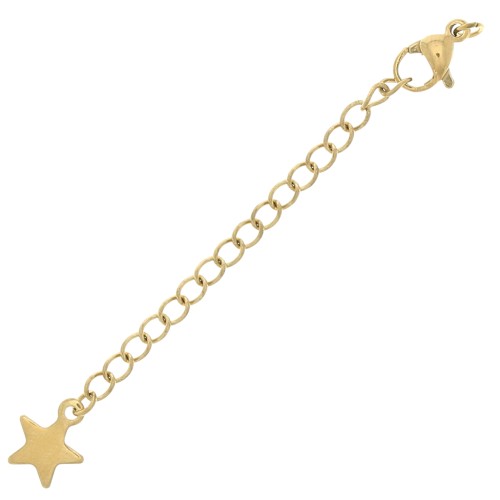 10mm Lobster Clasps with Extension Chain & Star, 304 Stainless Steel, Gold-Plated x10