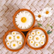 DIY Graine Créative candle kit - Bougies A la Folie - Daisies x1