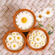 DIY Graine Créative candle kit - Bougies A la Folie - Daisies x1