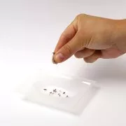 Graine Créative soap kit - Lavender soap kit x1