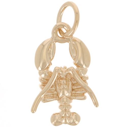 14x8mm Lobster charm with closed ring - 3 microns Gold-plated x1