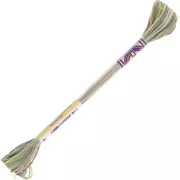 DMC Mouliné Color Variations Embroidery Thread - Grass (4065) x8m