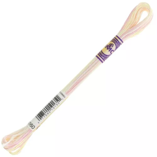DMC Mouliné Color Variations Embroidery Thread - Birthday Cake (4160) x8m