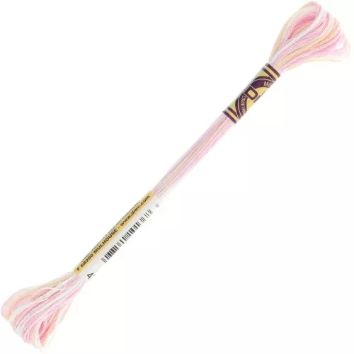 DMC Mouliné Color Variations Embroidery Thread - Sugar Mouse (4170) x8m
