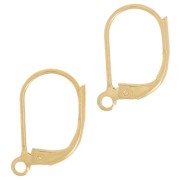 15mm Leverback earrings with open ring - Gold Tone x40