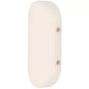 27x17mm 2-hole rounded rectangle bead in Opaque Resin - Ivory x1