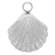 9x7mm Stainless steel 304L Shell charm x1