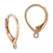 Leverback earrings 15.8mm Gold-tone rose  x2