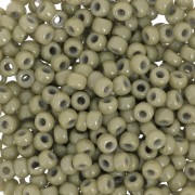Miyuki Duracoat 8/0 4474 seed beads - Dyed Opaque Cactus x8g