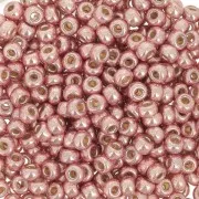 Miyuki Duracoat 8/0 4209 seed beads - Galvanized Dark Coral x8g